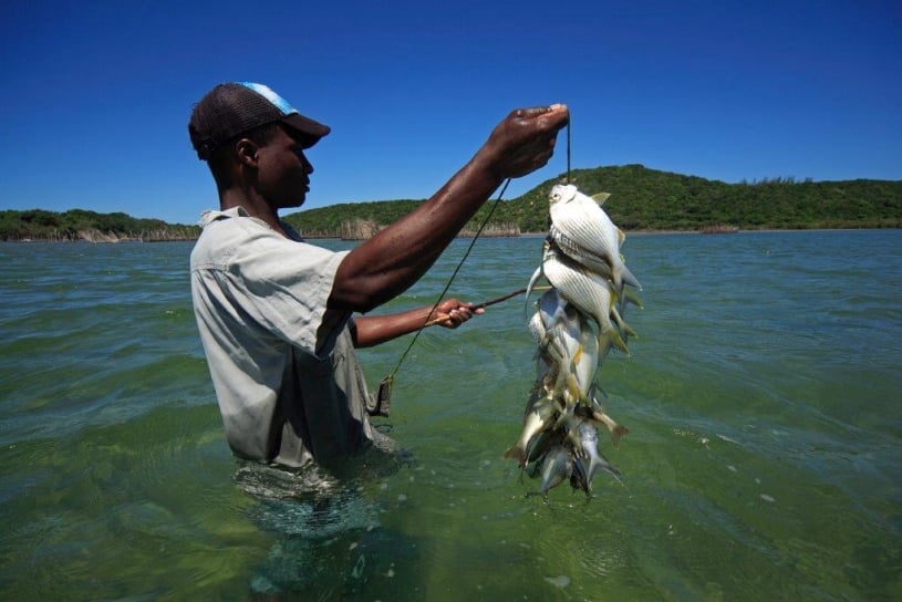 Mobirise Website Builder